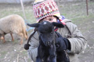 enfant avec agneau